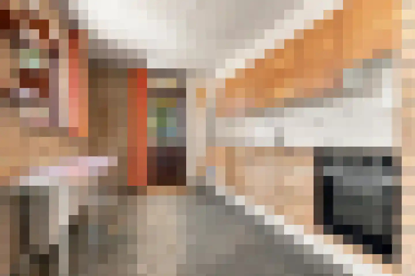 Geesterweg 69 Uitgeest thumbnail 4