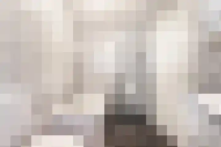 Geesterweg 89 b Uitgeest thumbnail 17