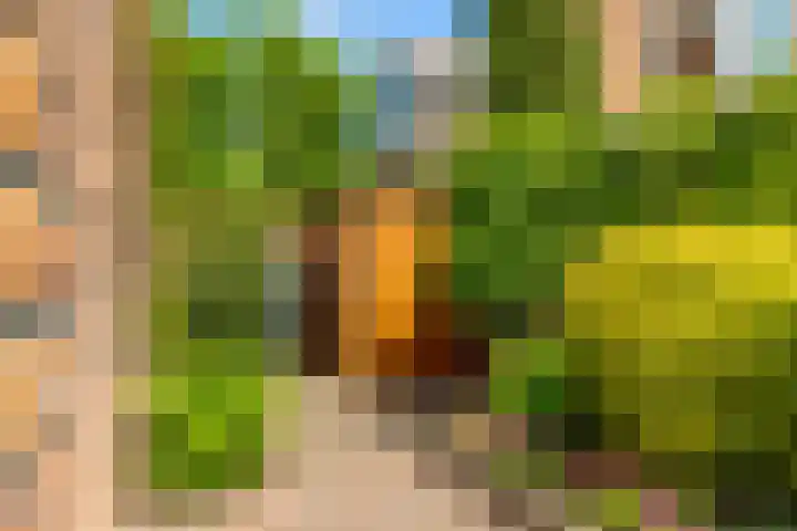 Geesterweg 89 b Uitgeest thumbnail 30