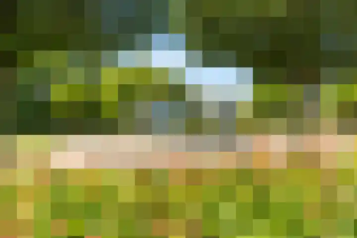 Geesterweg 89 b Uitgeest thumbnail 35