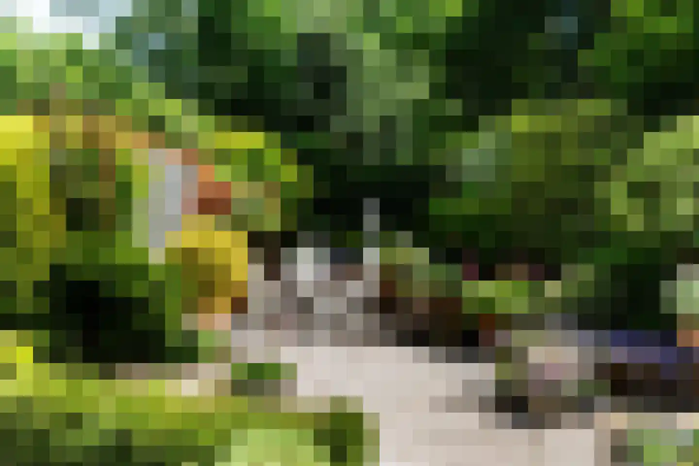 Geesterwijk 28 Pijnacker thumbnail 17