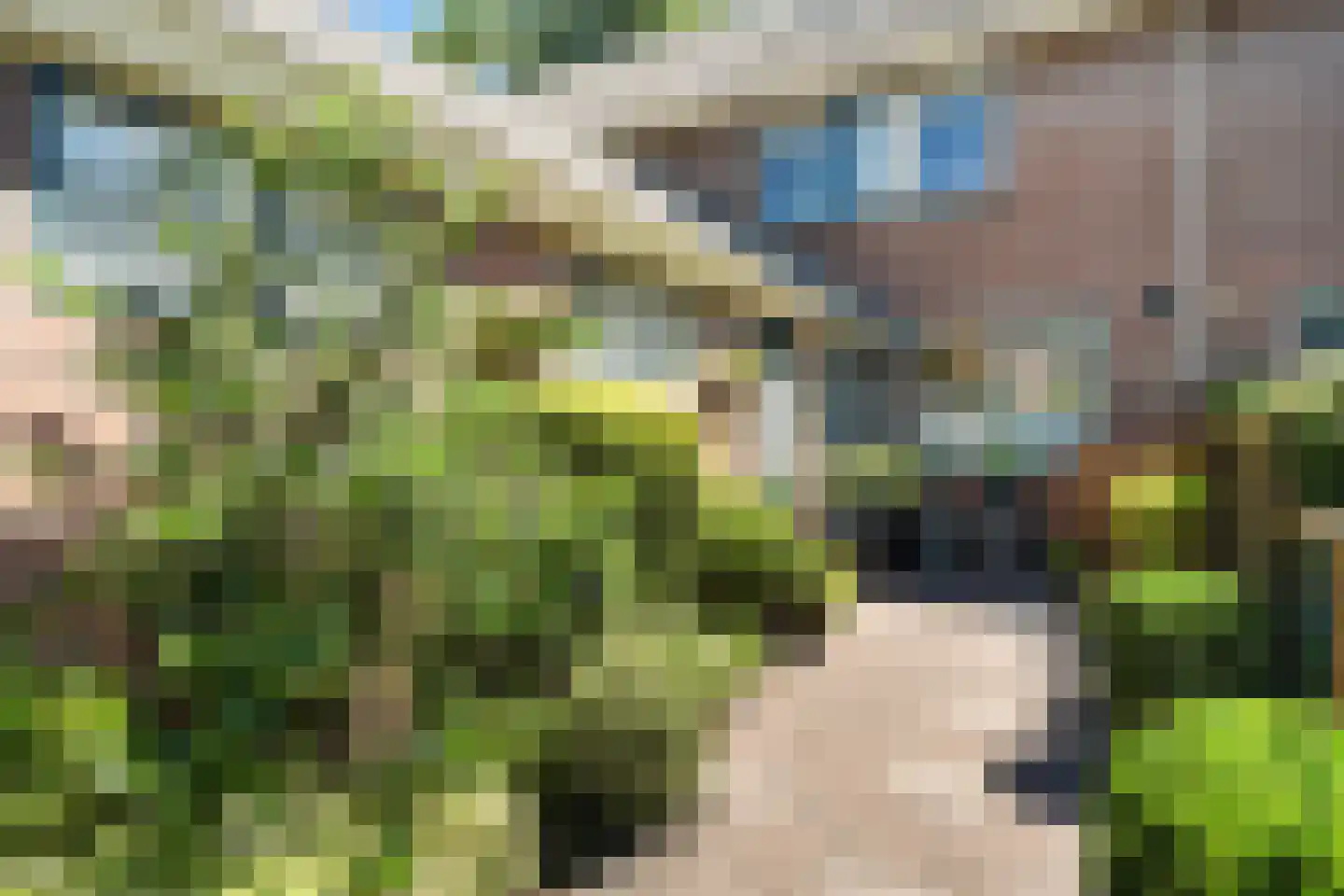 Geesterwijk 28 Pijnacker thumbnail 7