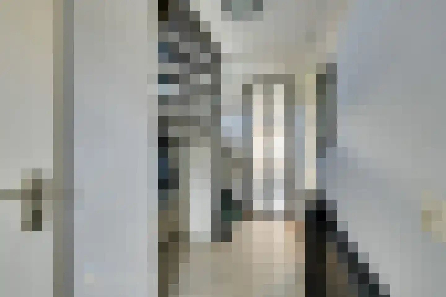 Geeststraat 7 Heerhugowaard thumbnail 13