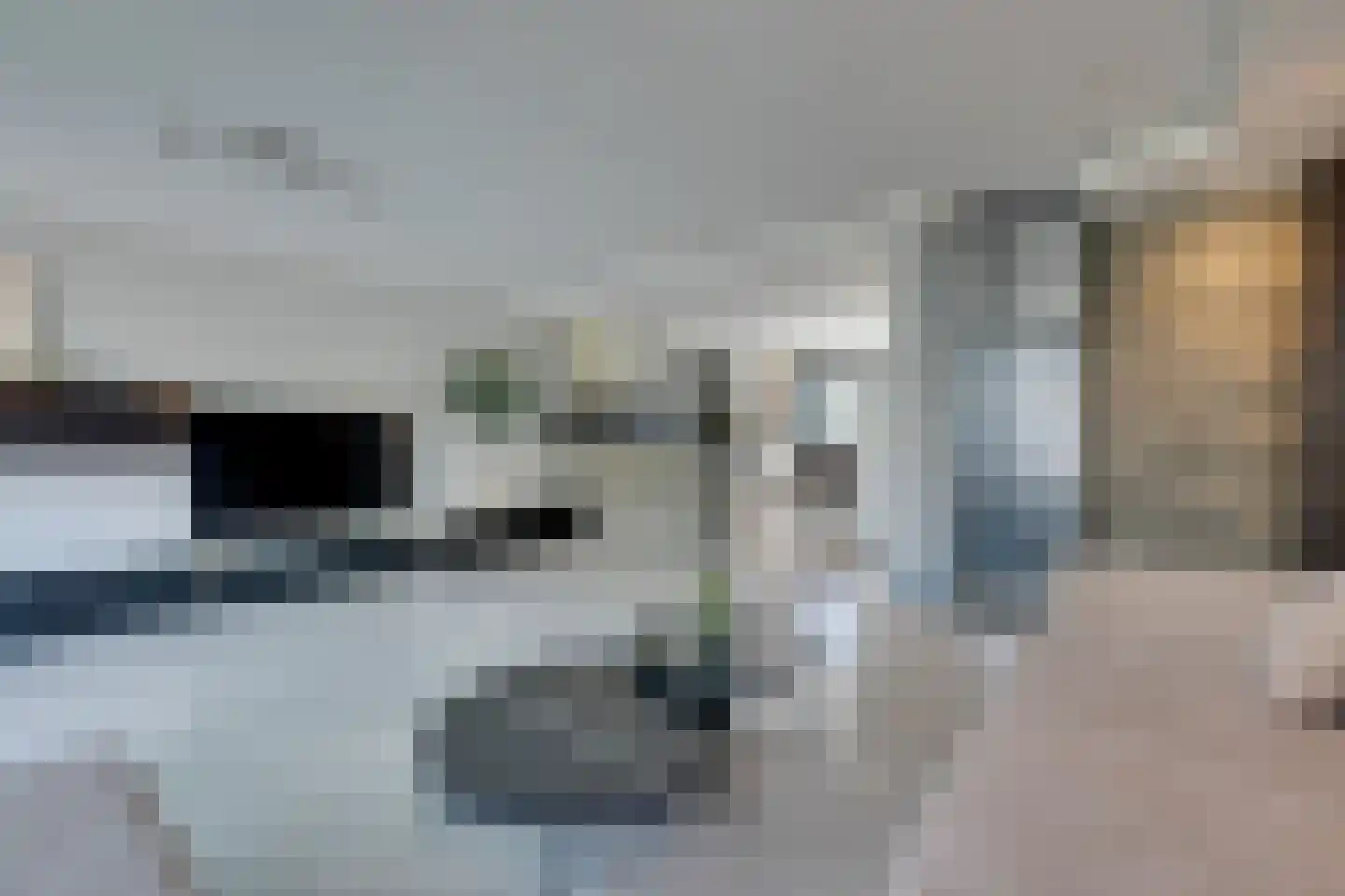Geeststraat 7 Heerhugowaard thumbnail 22