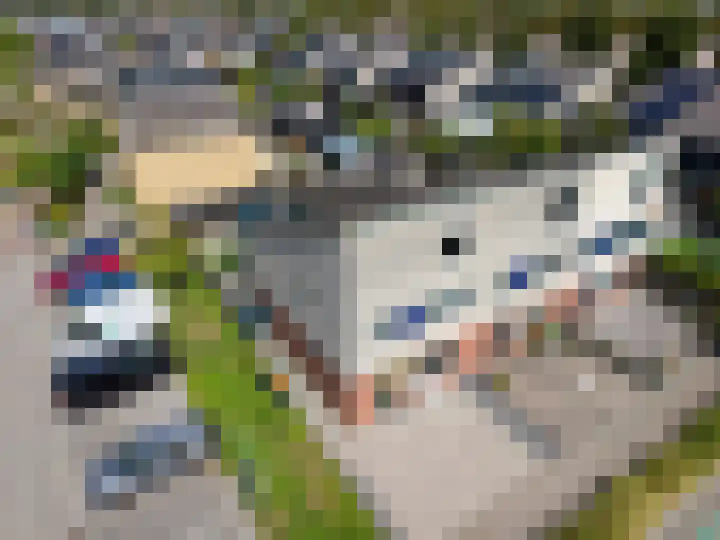 Geeststraat 7 Heerhugowaard thumbnail 4