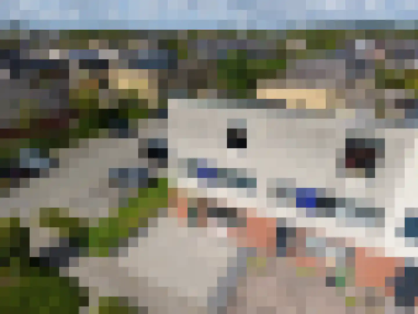 Geeststraat 7 Heerhugowaard thumbnail 55