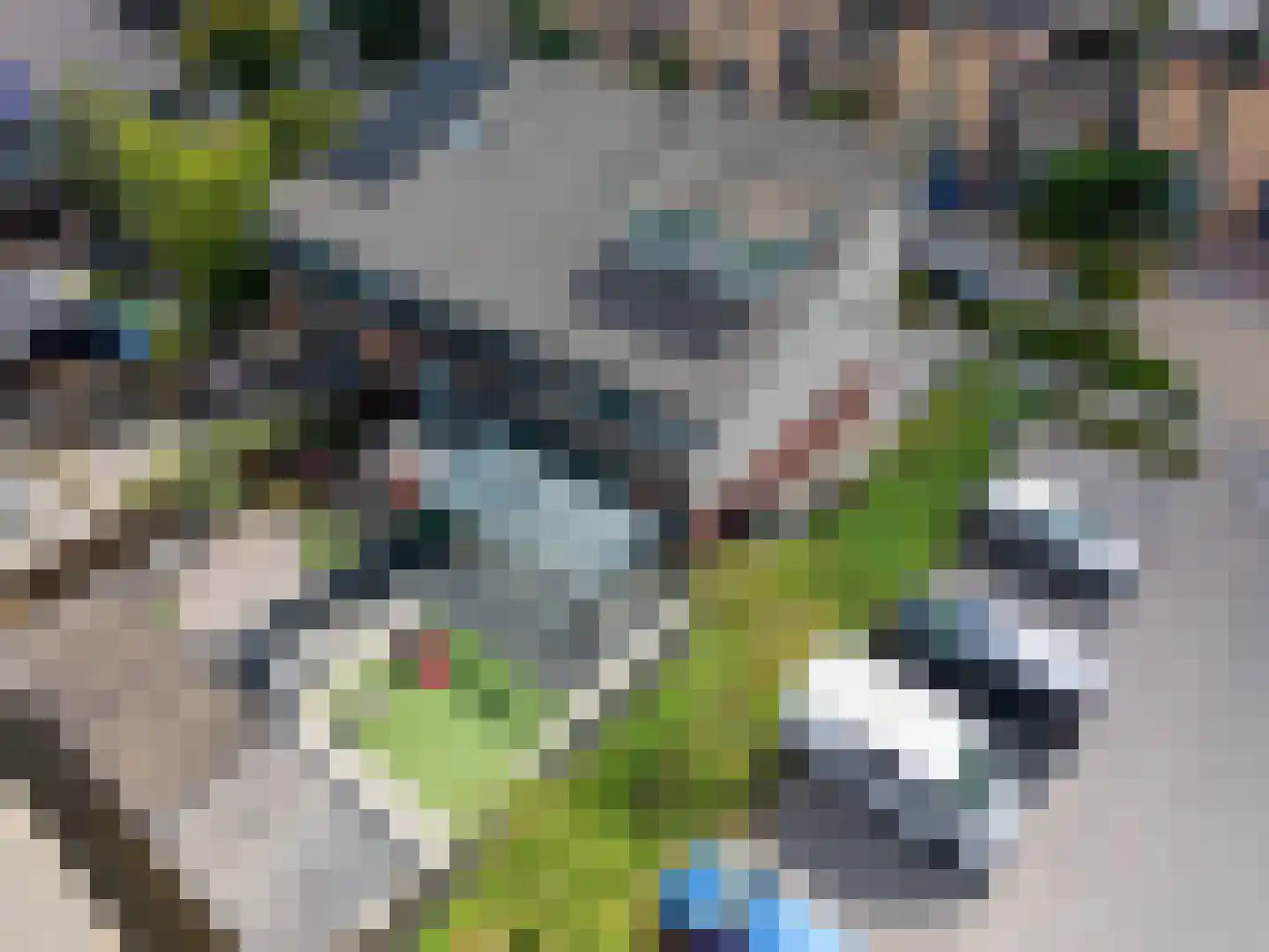 Geeststraat 7 Heerhugowaard thumbnail 56