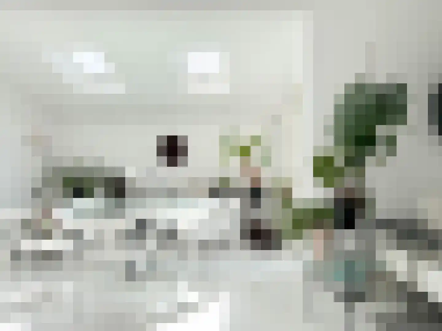 Geestweg 1 Bergen (NH) thumbnail 8