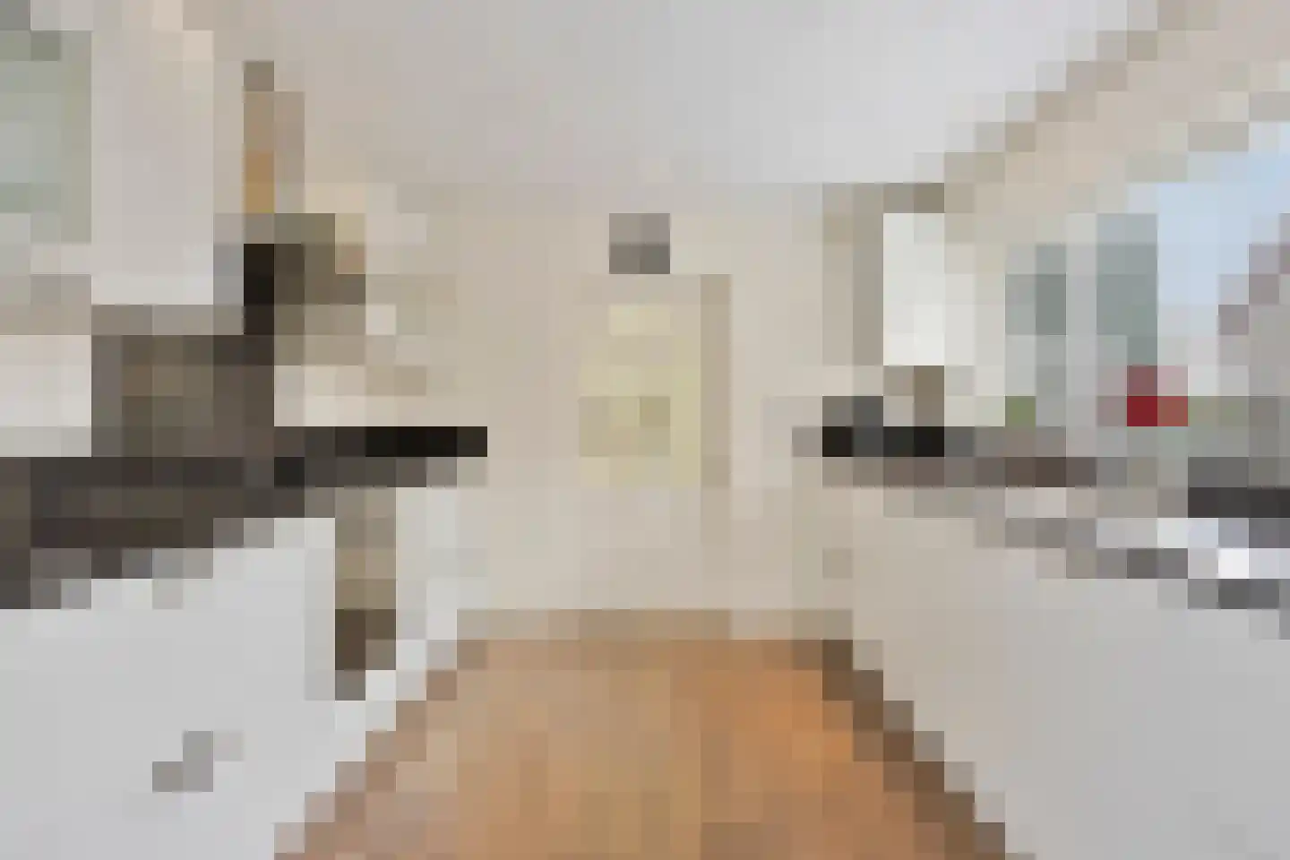 Geestweg 19 Roelofarendsveen thumbnail 12