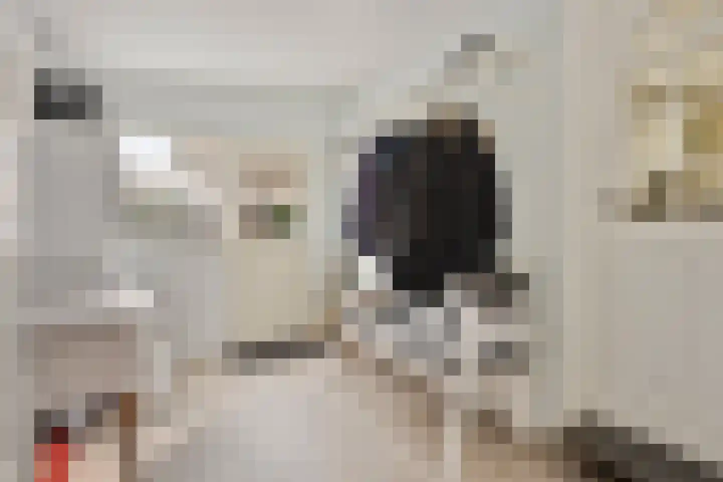 Geestweg 19 Roelofarendsveen thumbnail 13