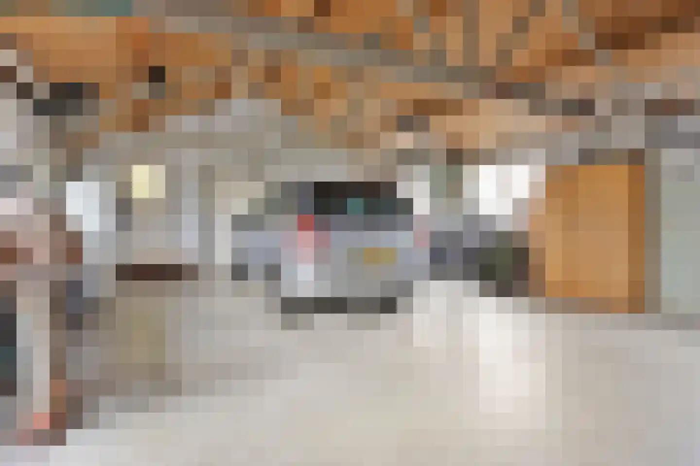Geestweg 19 Roelofarendsveen thumbnail 14