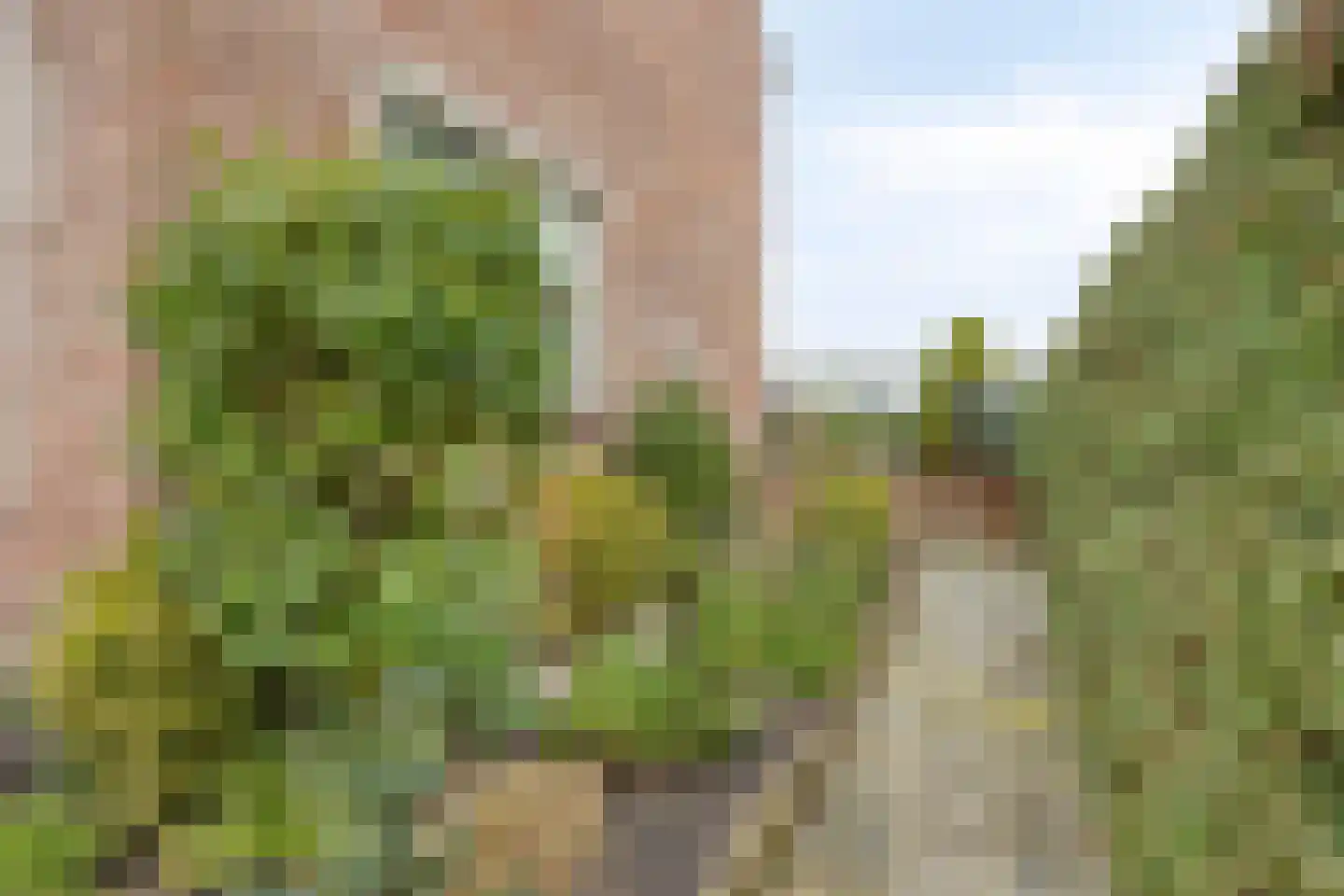 Geestweg 19 Roelofarendsveen thumbnail 26