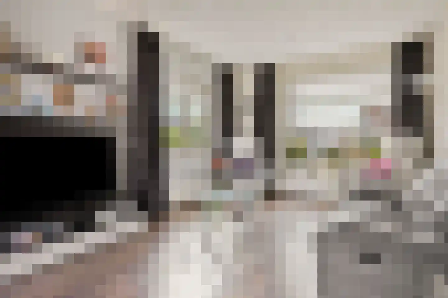 Geestweg 19 Roelofarendsveen thumbnail 5