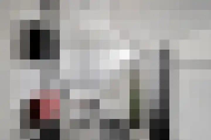 Geestweg 24 Roelofarendsveen thumbnail 17