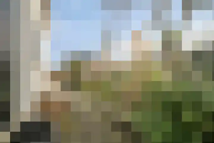 Geestweg 24 Roelofarendsveen thumbnail 24