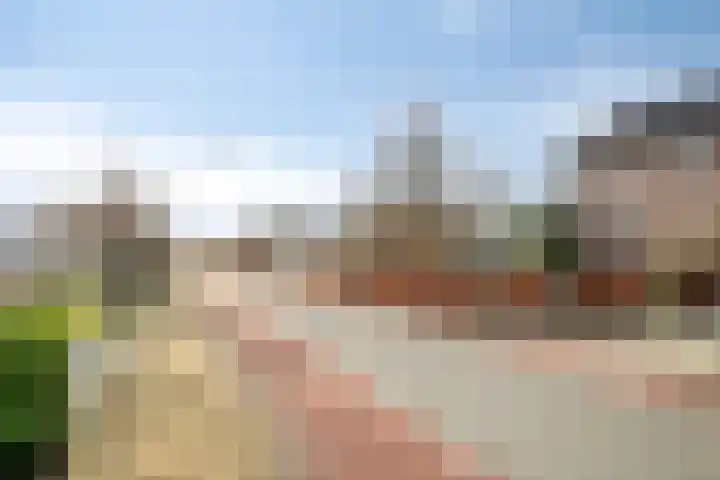 Geestweg 24 Roelofarendsveen thumbnail 26