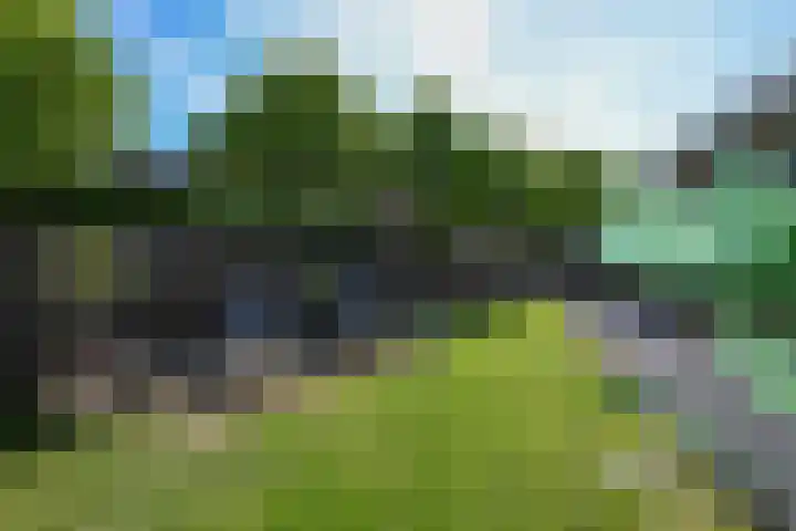 Geestweg 4 Monster thumbnail 31