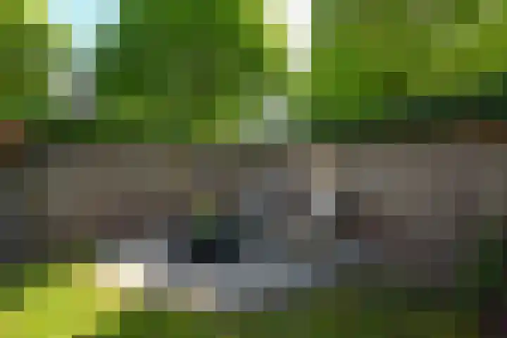 Geestweg 4 Monster thumbnail 33
