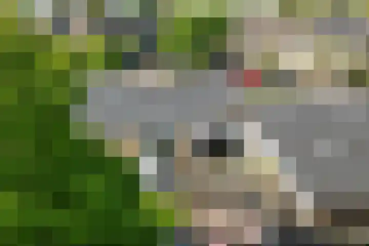 Geestweg 4 Monster thumbnail 41