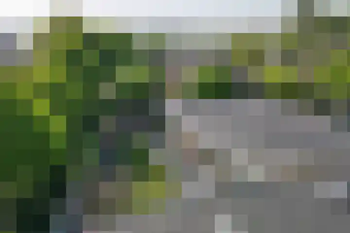 Geestweg 4 Monster thumbnail 42