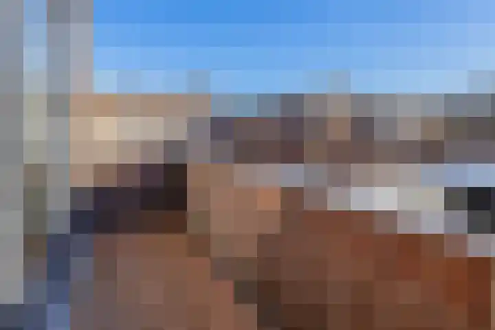 Geestweg 41 A Naaldwijk thumbnail 29