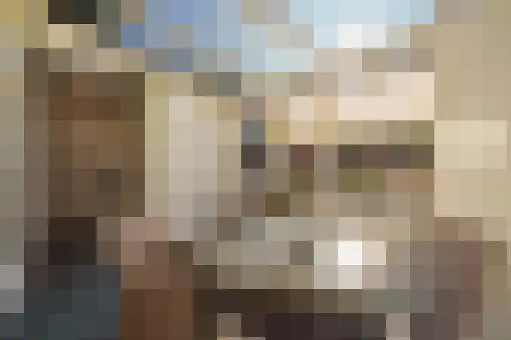 Geestweg 61 Naaldwijk thumbnail 10