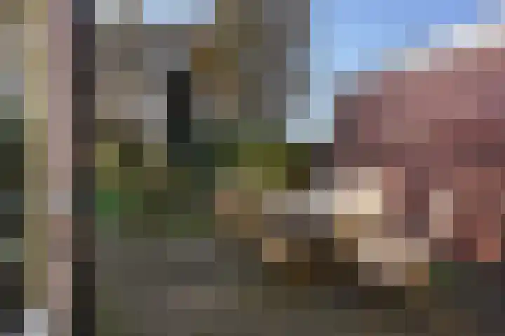 Geestweg 61 Naaldwijk thumbnail 15