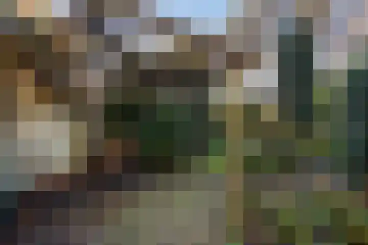 Geestweg 61 Naaldwijk thumbnail 16