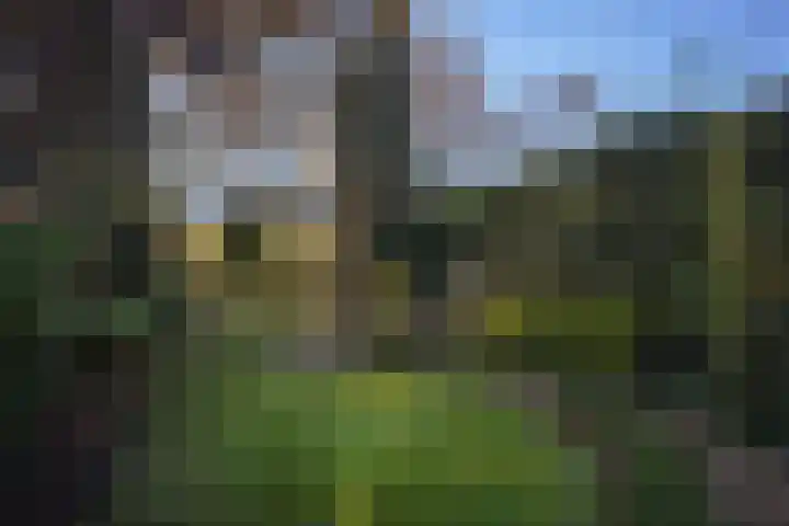 Geestweg 61 Naaldwijk thumbnail 17