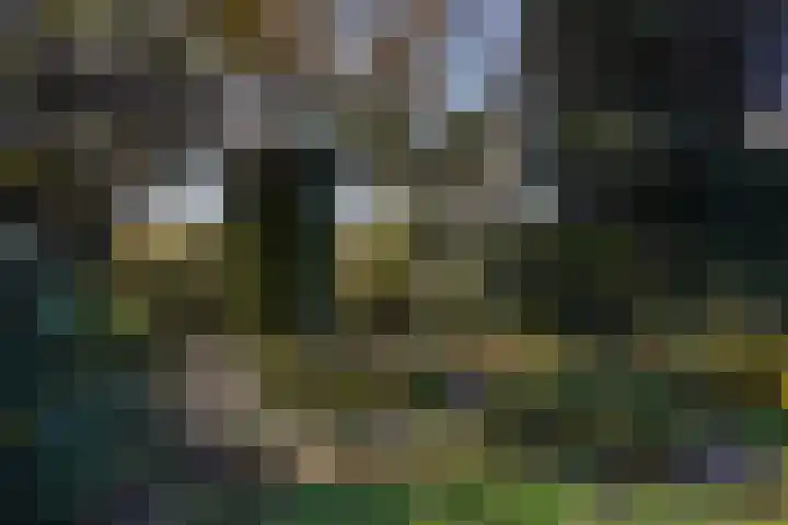Geestweg 61 Naaldwijk thumbnail 18