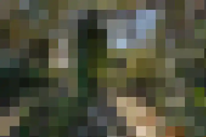 Geestweg 61 Naaldwijk thumbnail 19