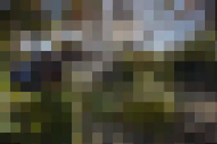 Geestweg 61 Naaldwijk thumbnail 21