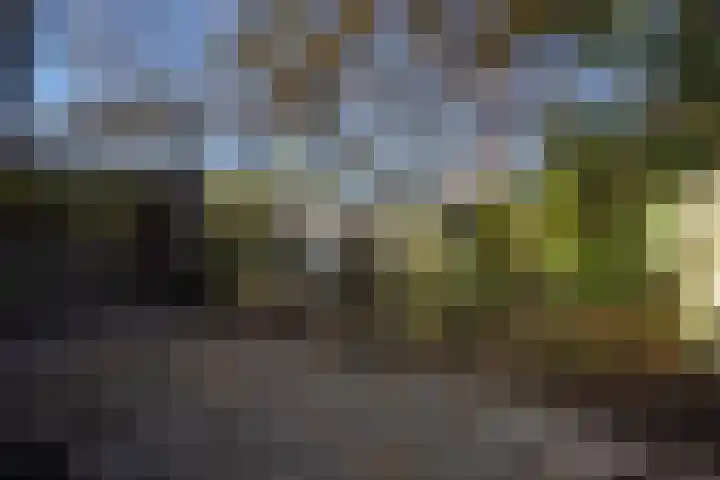 Geestweg 61 Naaldwijk thumbnail 22