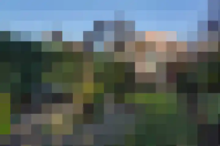 Geestweg 61 Naaldwijk thumbnail 25