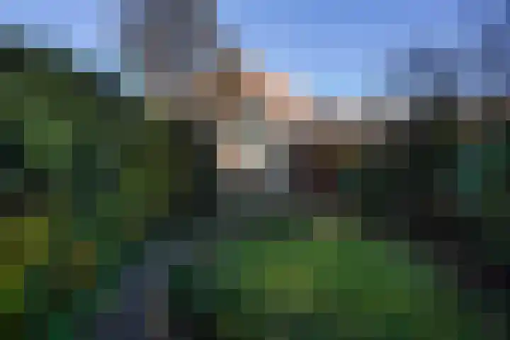 Geestweg 61 Naaldwijk thumbnail 26