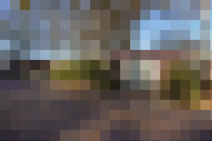 Geestweg 61 Naaldwijk thumbnail 4