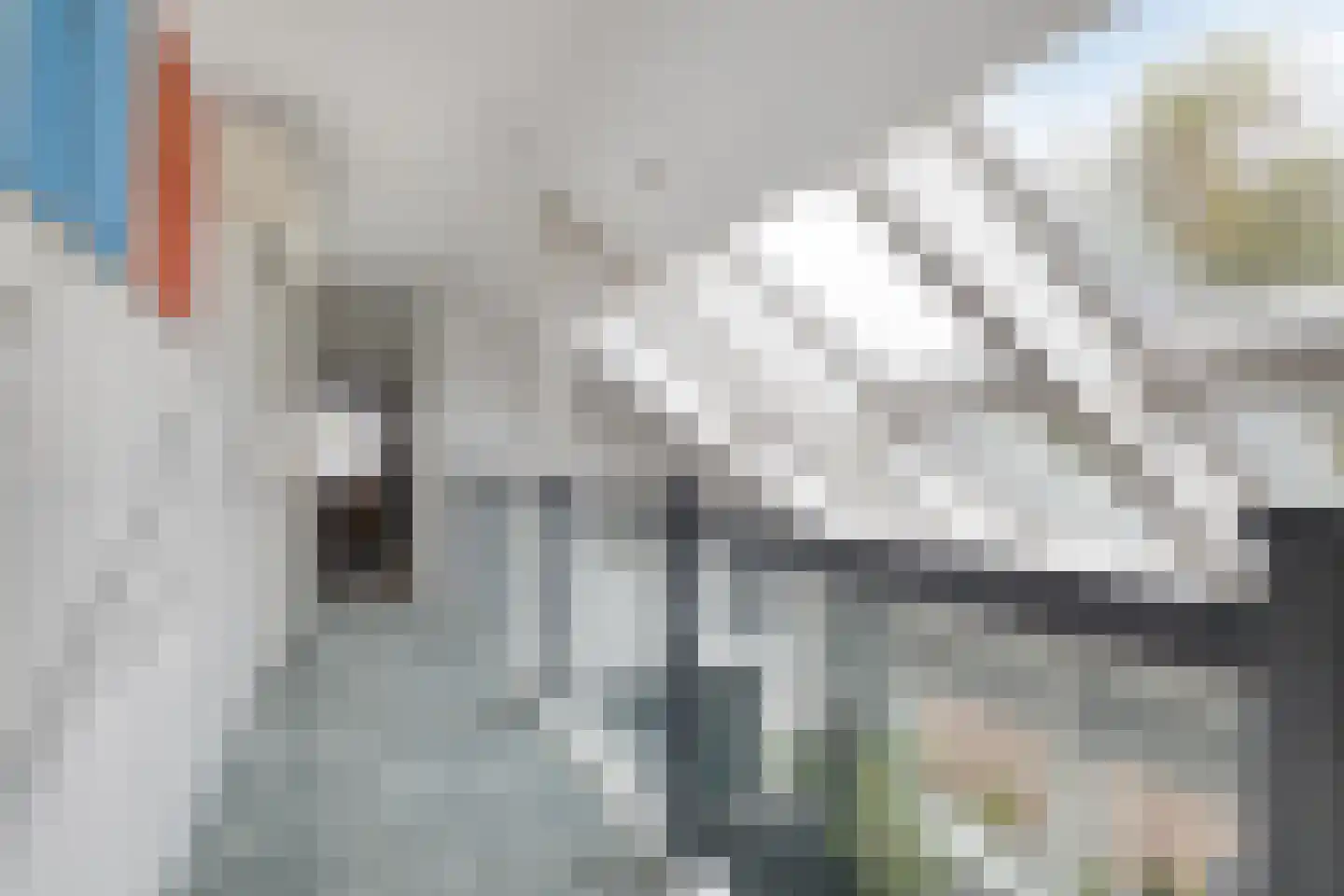 Geestweg 62 Roelofarendsveen thumbnail 14