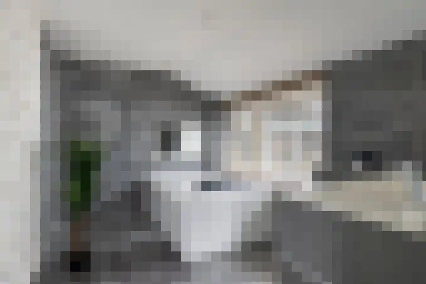 Geestweg 62 Roelofarendsveen thumbnail 16