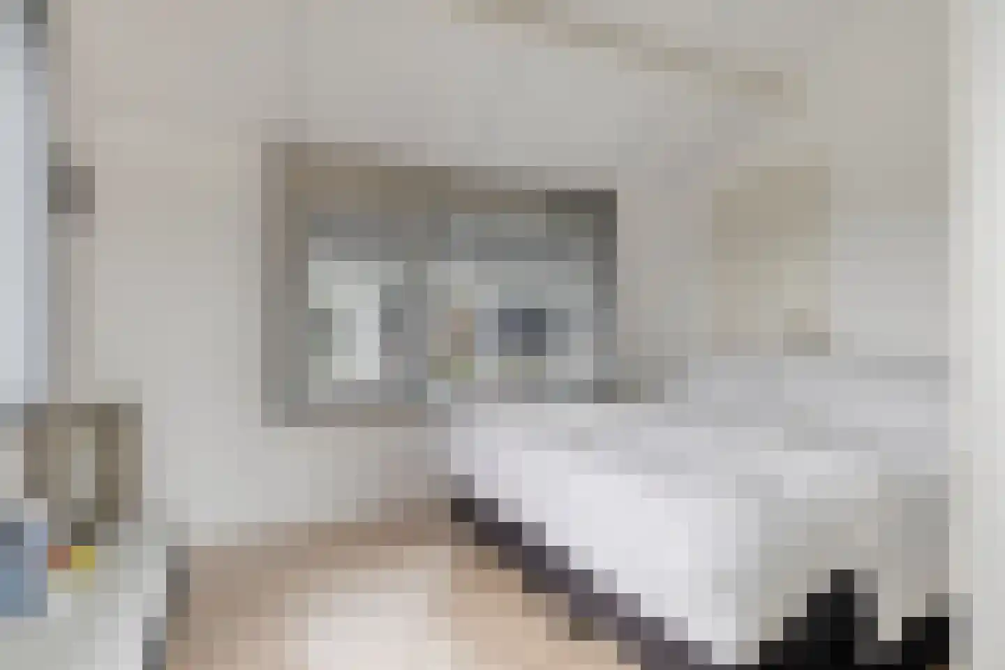 Geestweg 62 Roelofarendsveen thumbnail 18