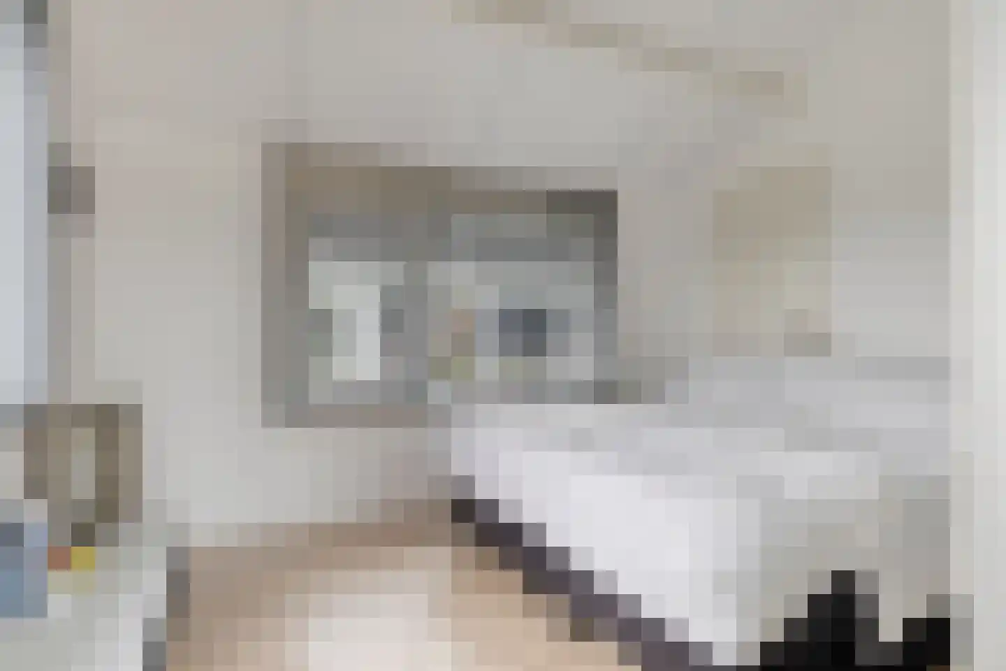 Geestweg 62 Roelofarendsveen thumbnail 18