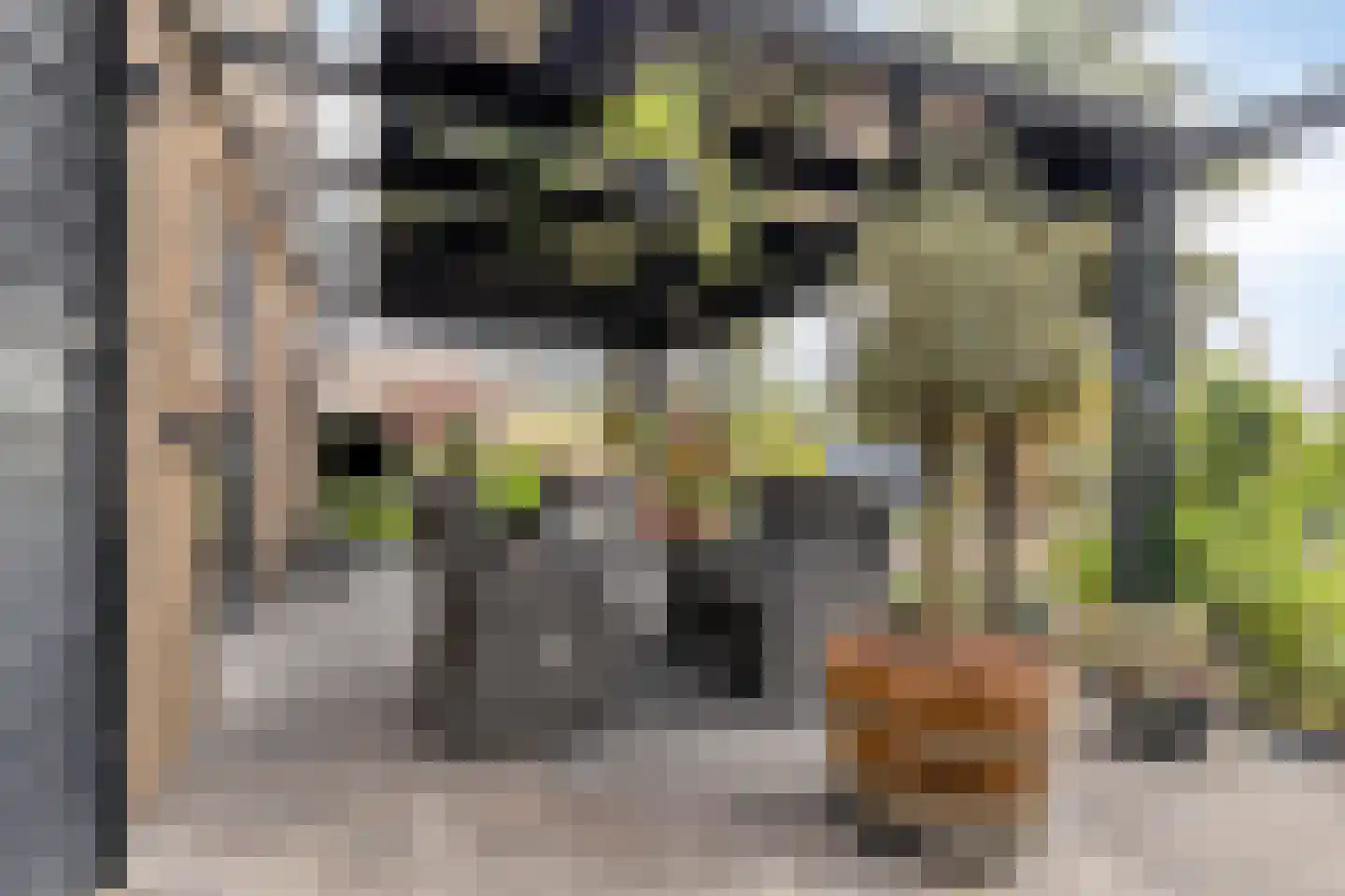 Geestweg 62 Roelofarendsveen thumbnail 19