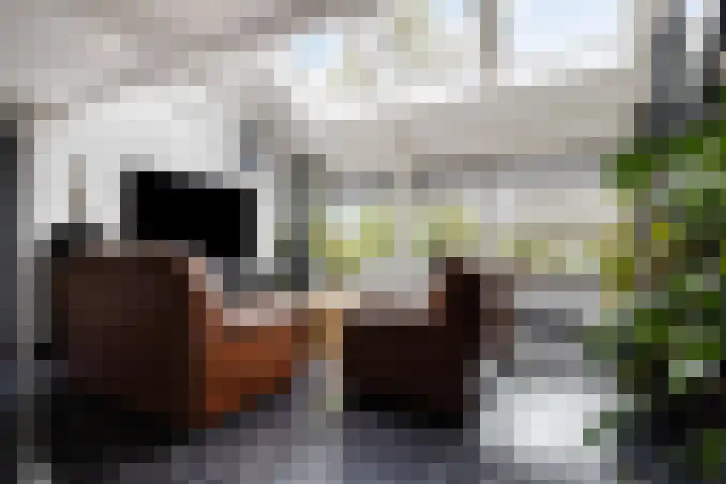 Geestweg 62 Roelofarendsveen thumbnail 4