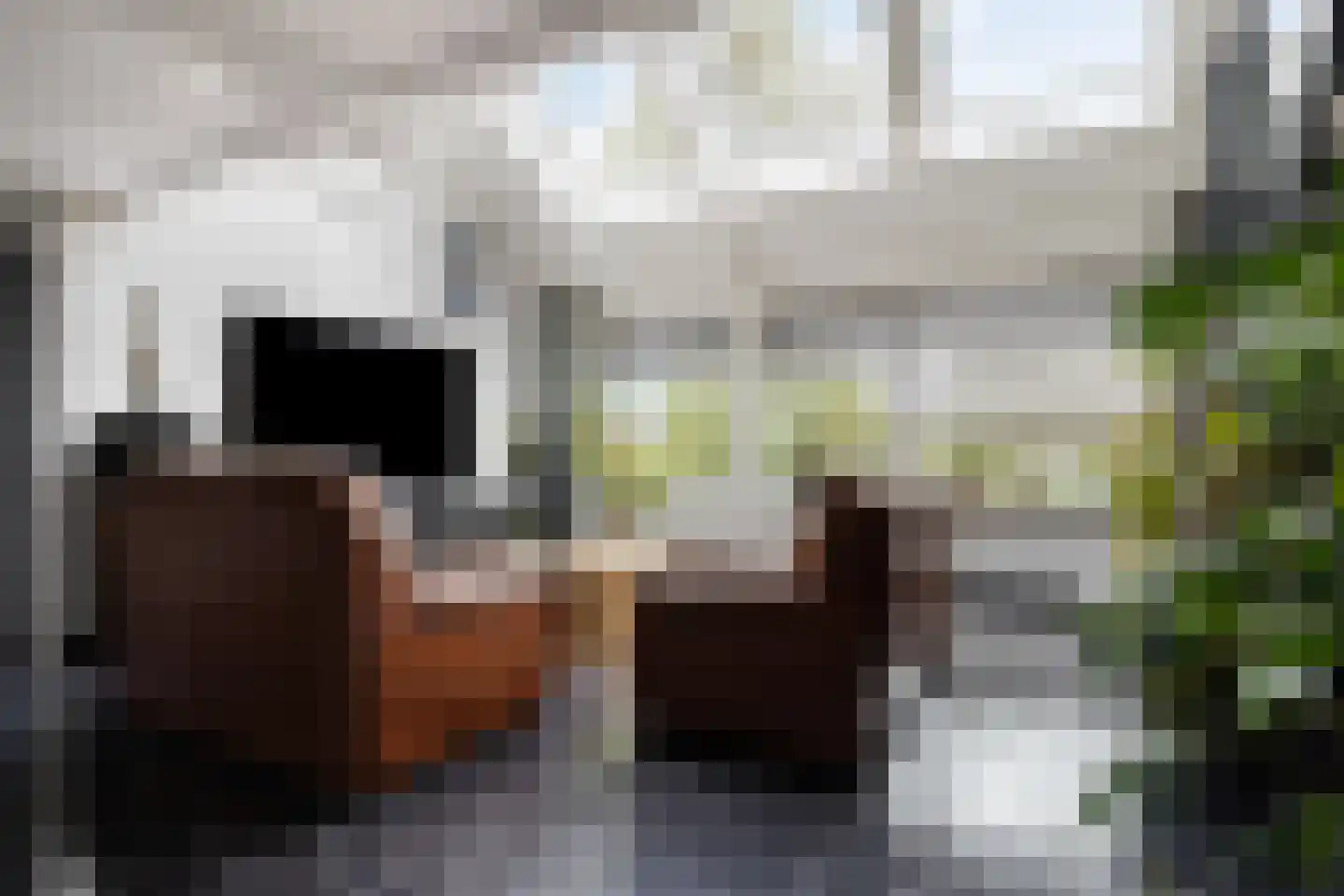 Geestweg 62 Roelofarendsveen thumbnail 4