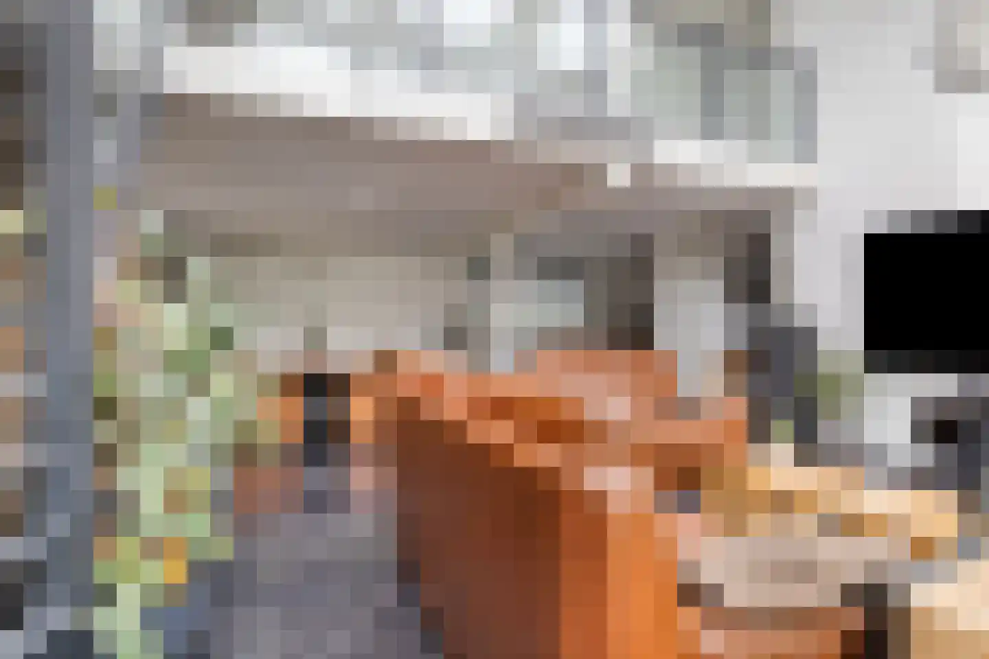 Geestweg 62 Roelofarendsveen thumbnail 5