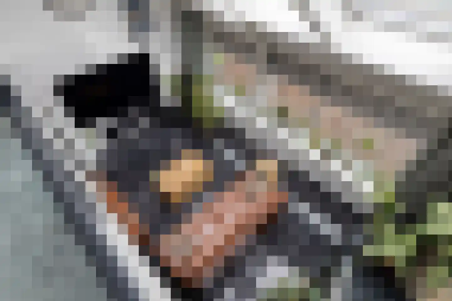 Geestweg 62 Roelofarendsveen thumbnail 6