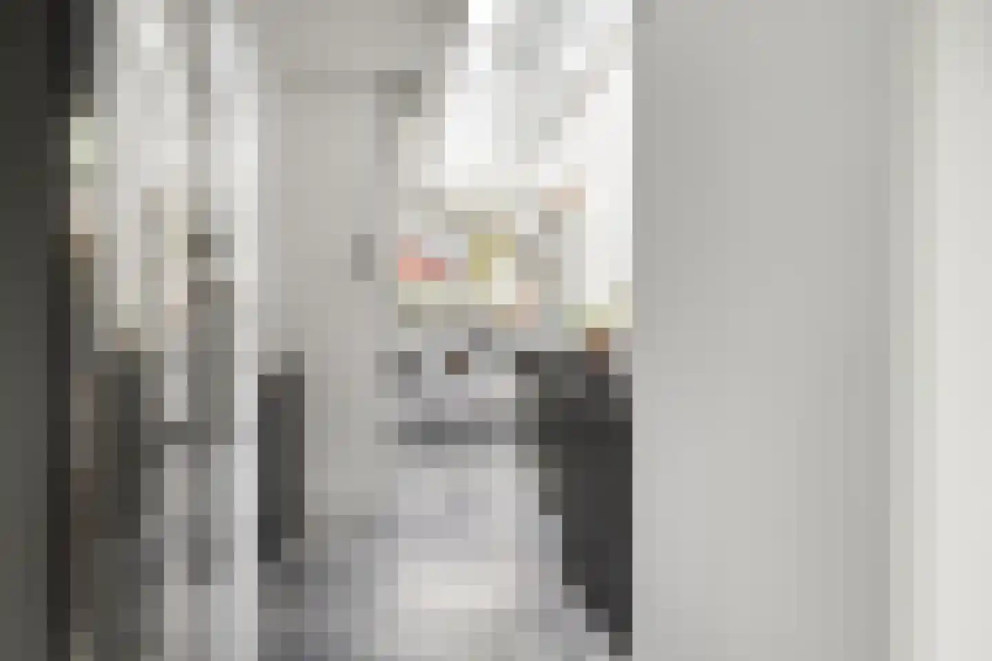 Geestweg 62 Roelofarendsveen thumbnail 9