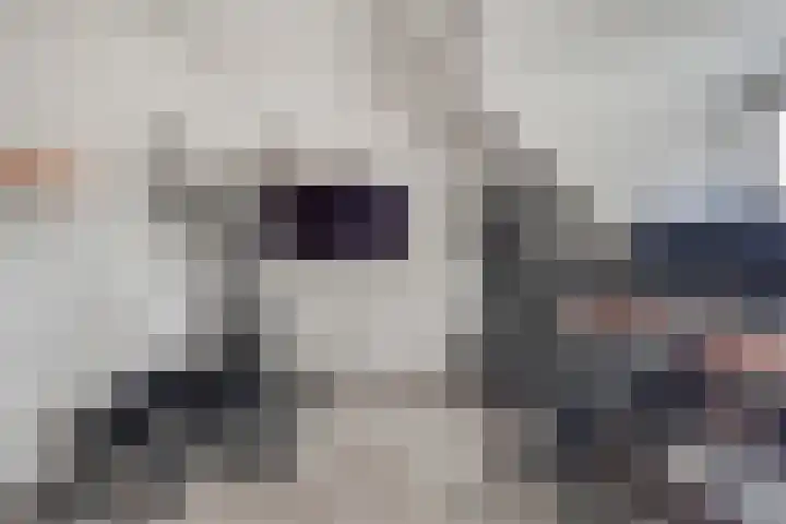Geestweg 80 Naaldwijk thumbnail 12