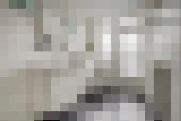 Geestweg 80 Naaldwijk thumbnail 13