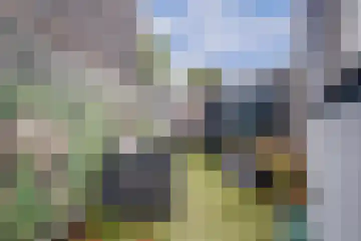 Geestweg 80 Naaldwijk thumbnail 16