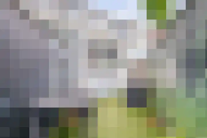 Geestweg 80 Naaldwijk thumbnail 17